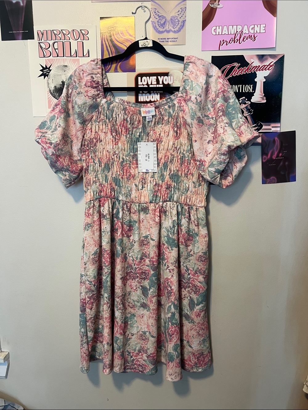 LuLaRoe Alina Floral Smocked Dress in Pink and Green